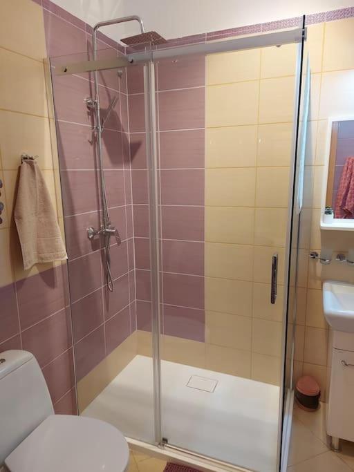 Homelyapartment Krakow Luaran gambar